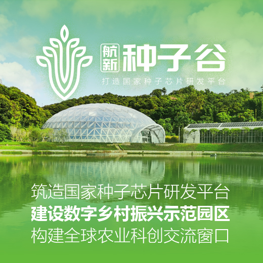 广州包装设计