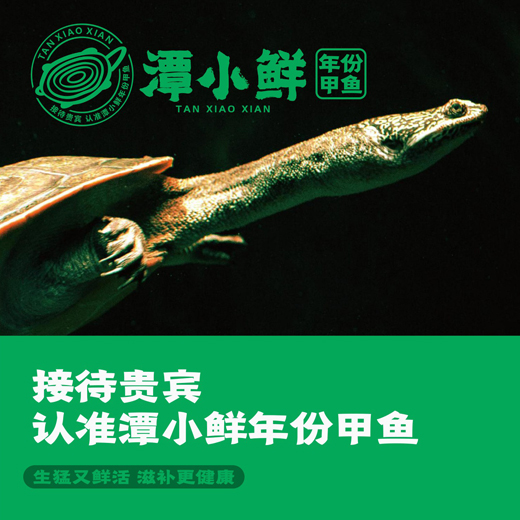 广州包装设计
